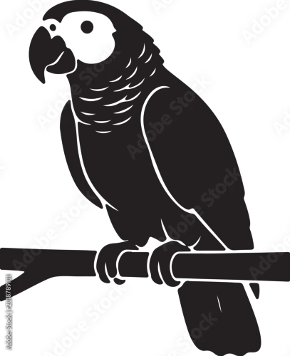 Fototapeta African parrot in silhouette.