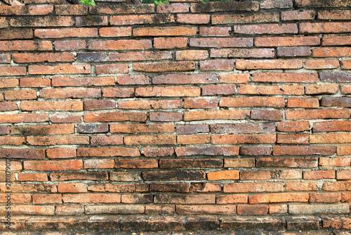 The old brick wall background creates a beautiful artistic effect.