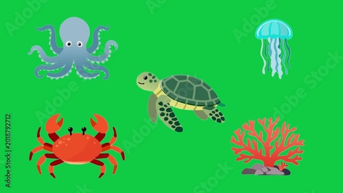 2D Animated Marine Animals with Ocean Coral Elements for Underwater Kids Collection