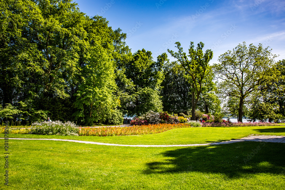 Fototapeta premium Lawn in the park