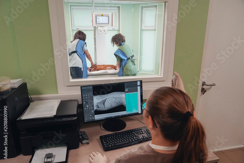 Vets X-ray a dog in clinic. A pro monitors live results on a computer screen from the control room