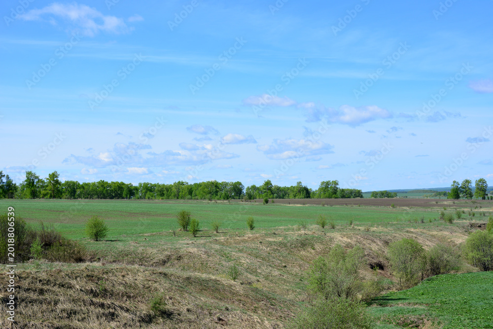 Fototapeta premium a valley with Green Field and Blue Sky with Clouds copy space
