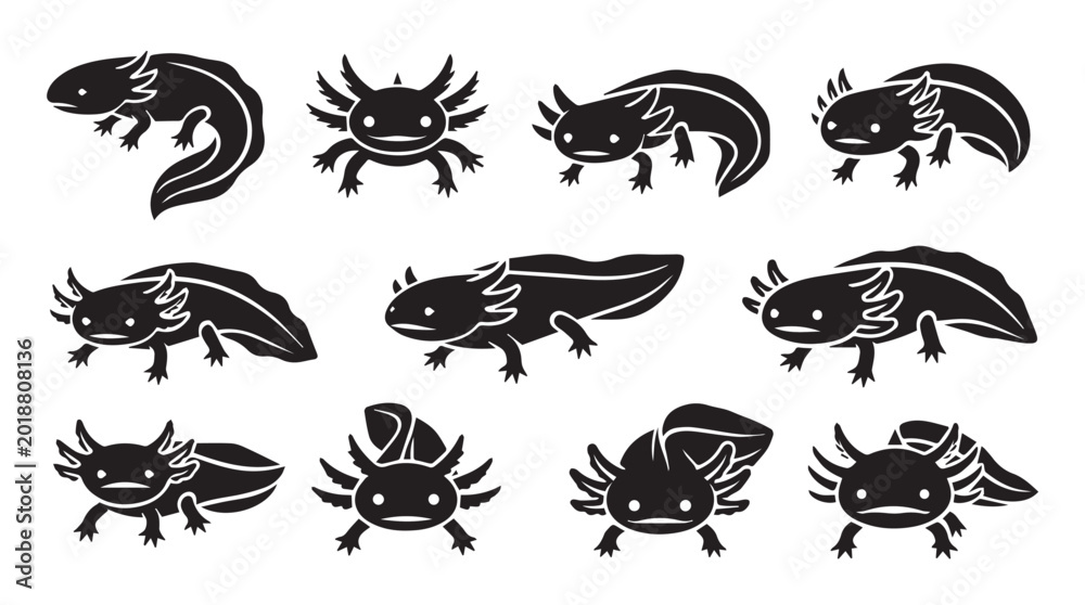 Fototapeta premium Axolotl silhouettes in various poses against a white background for design and illustration purposes