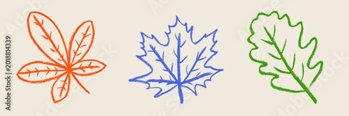 Oak Maple Chestnut Leaves Autumn Crayon Chalk Drawing Doodle Vector Set