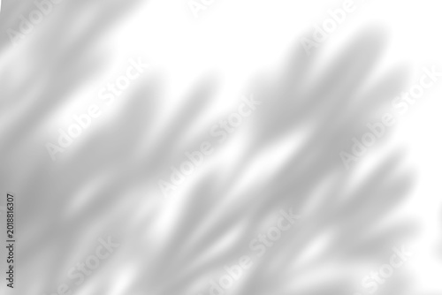 Obraz na plátně leaves shadow with smooth blur bokeh isolated on transparent background with abstract grey dappled foliage overlay effect suitable for improving illustration backgrounds