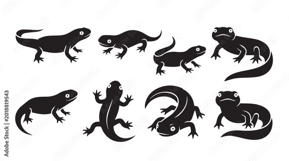 Obraz premium Eight Diverse Salamander Silhouettes Against a White Background Representing Reptilian Diversity
