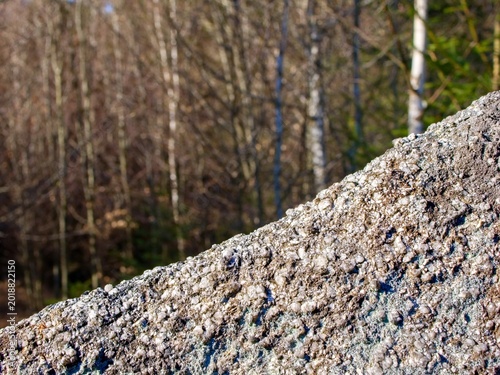 Granite, natural unprocessed rough stone. Detailed structure. The edge of the forest in the background.