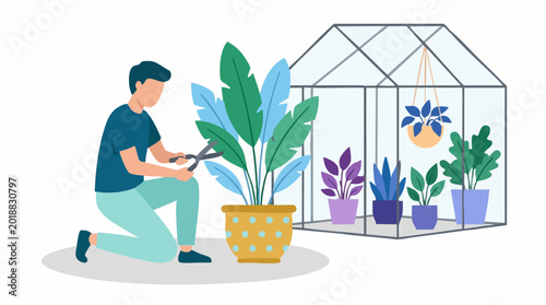 Photos Gardener pruning potted plant next to greenhouse with various plants