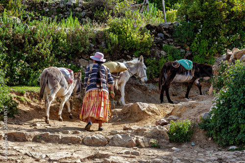 Photos Farmers with donkeys at Lake Titicaca in Bolivia