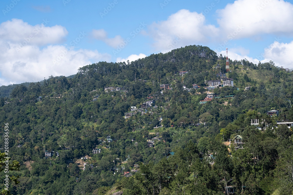 Fototapeta premium Mountain town Ella in Sri Lanka. Hotels and houses on a lush green hillside among tropical forest under a blue sky.