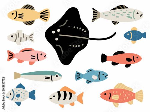 Collection of various colorful fish in different shapes and sizes on white background, minimalist flat vector illustration of sea life and aquatic animals