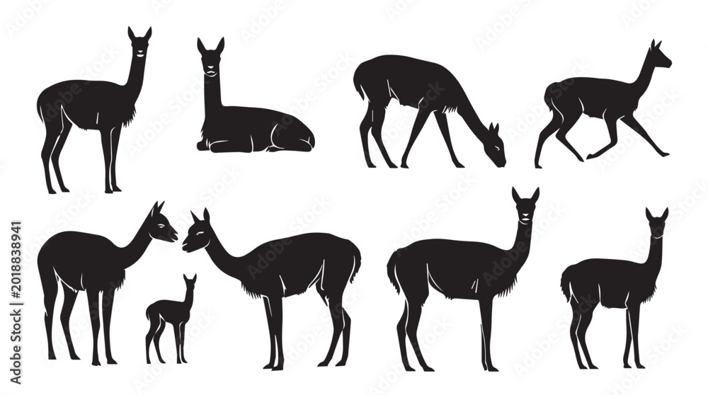 Fototapeta premium Vicuna herd silhouettes against a bright white background with varied poses and family groups