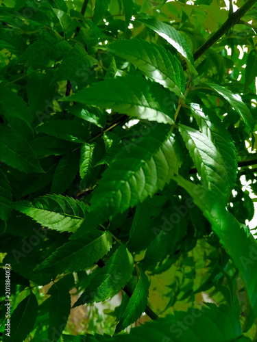 Beautiful nature photos. Gorgeous nature photos
