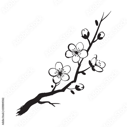 Cherry Blossom Branch Sketch in Minimalist Line Art Style