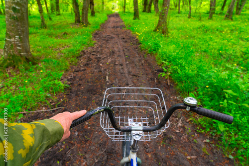 A bike ride through a green forest on a dirt road