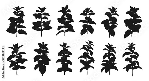 Collection of various leafy plant silhouettes.