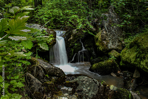 Vászonkép Photo of small stream waterfall in rain forest environment with cool fresh green