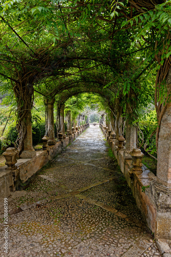 Jardins d'Alfabia - Majorca - Spain