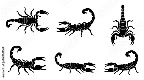 Fotografie scorpion silhouettes in top and side view, solid black shapes, each in different poses such as crawling