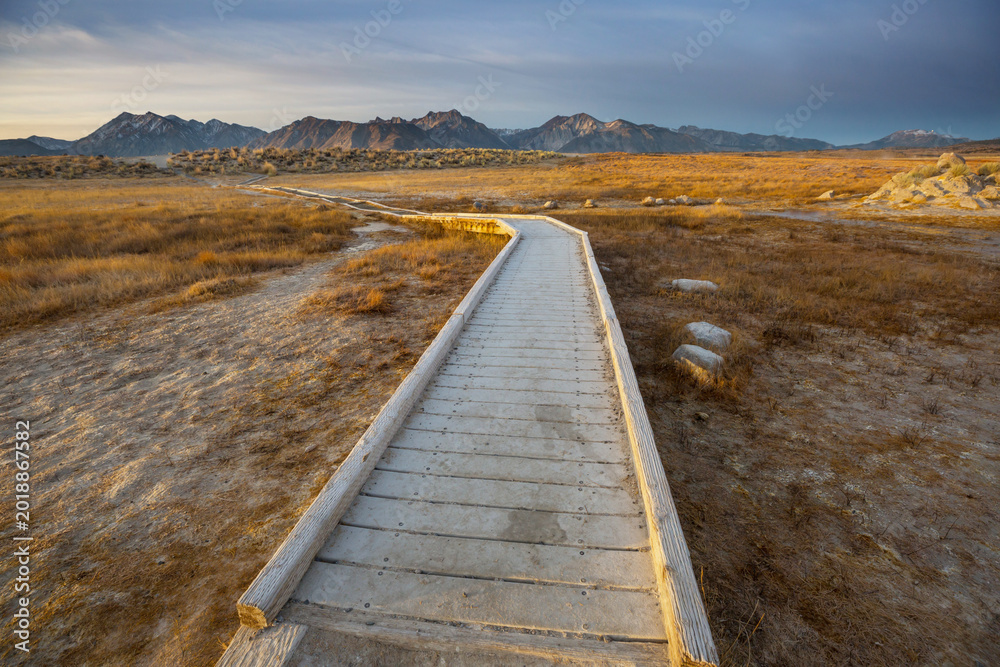Obraz premium Boardwalk