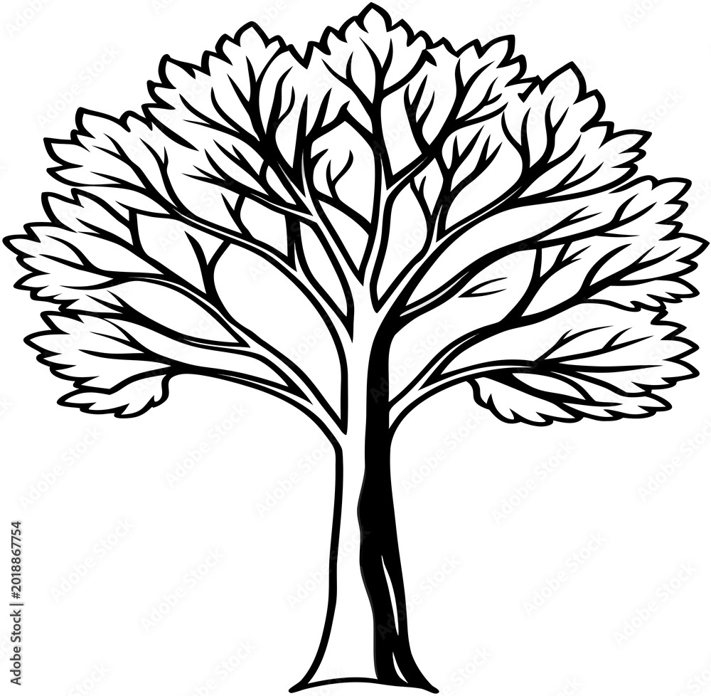 Obraz premium tree with roots