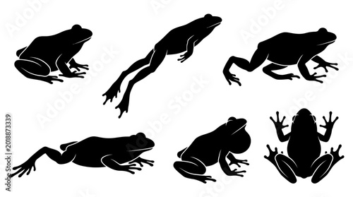 frog silhouettes in side and top view, solid black shapes, each in different poses such as sitting.