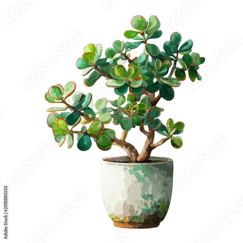 Watercolor Jade Plant vector, artistic painting style, high-resolution illustration on a pure white background.