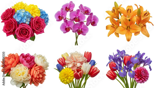 beautiful colorful flower image with background