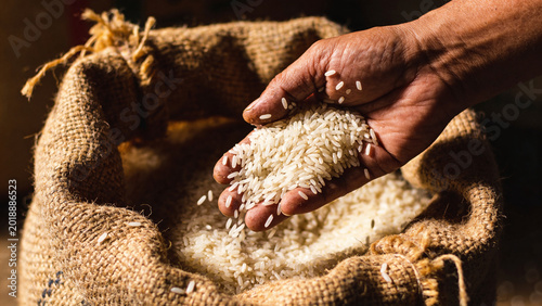 Hand holding rice grain from a burlap sack showing the process of agriculture and food industry