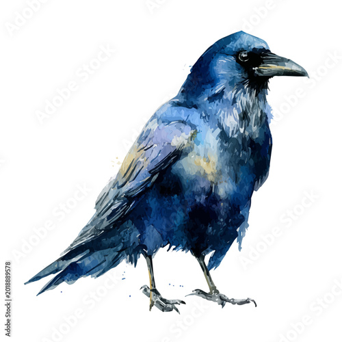 Canvas Print Crow watercolor vector illustration, high-quality artwork isolated on a pure white background