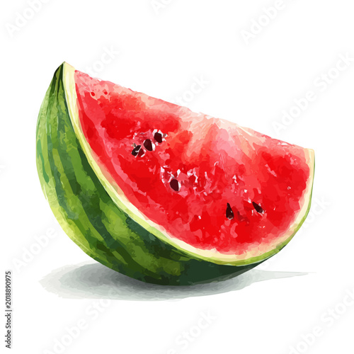 Tablou pe pânză Stylized watercolor Watermelon vector, modern artistic illustration with high-quality details on a pure white background