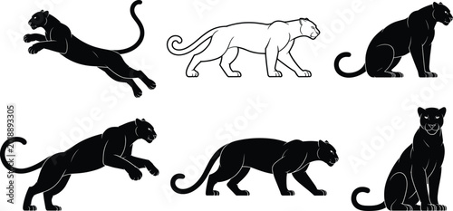 Schilderij op canvas Black panther silhouette collection set, powerful predatory wild cat poses including jumping, walking, and sitting, isolated vector icons on white