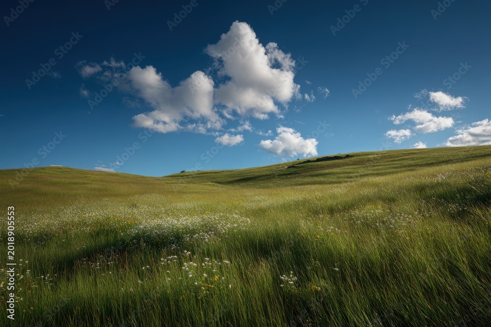 Fototapeta premium Rolling meadow hillside with expansive sky and gentle clouds