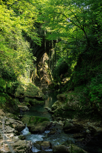 Canvas Print Scenic view of a lush green canyon with clear river water and rocky cliffs covered in vegetation