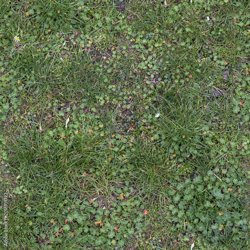 Natural Ground Texture with Green Grass and Rich Soil Background