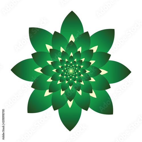 Simple green mandala flower vector illustration