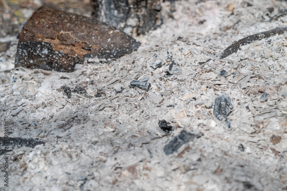 Fototapeta premium Decayed debris with charcoal remnants. Faded ash scattering across decayed surface. Subdued palette illustrating ruinous ash and debris for artistic or environmental uses