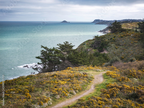 Chemin de randonnée sur le littoral de Bretagne à Lamballe-Armor , departement des côtes d'Armor à l'Ouest de Pléneuf-Val-André