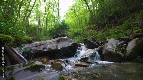 Tranquil forest creek running over stones and small cascades beneath a leafy canopy, creating a serene natural landscape with fresh flowing water.