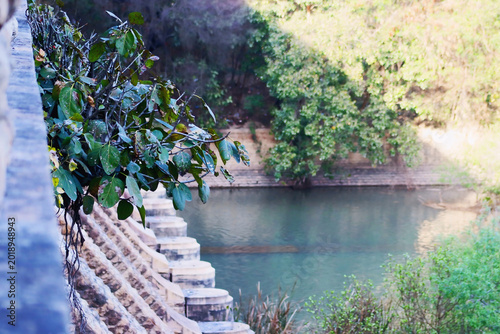 Photography garden, japanese, landscape, nature, spring, pond, bridge, water, peaceful, sere