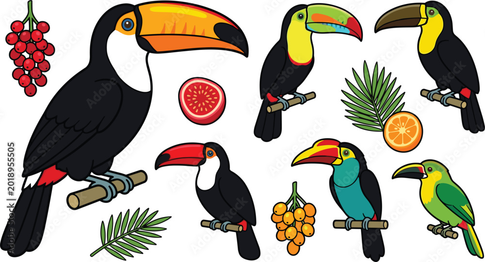 Fototapeta premium set of toucan birds