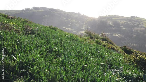 Green coastal landscape at Ursa Beach in Portugal