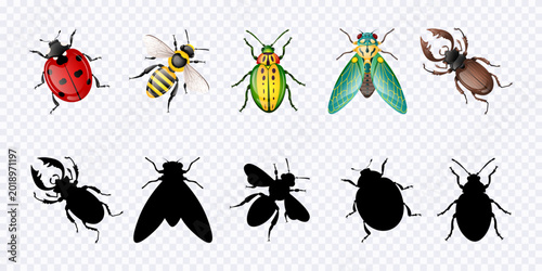 Fotografía Educational game for kids on transparent background