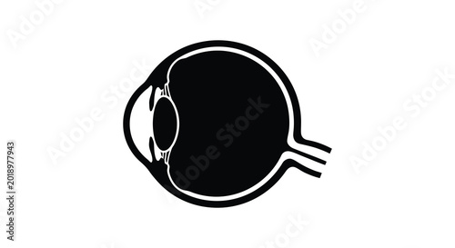 Konstfotografi Human eye anatomy illustration black silhouette