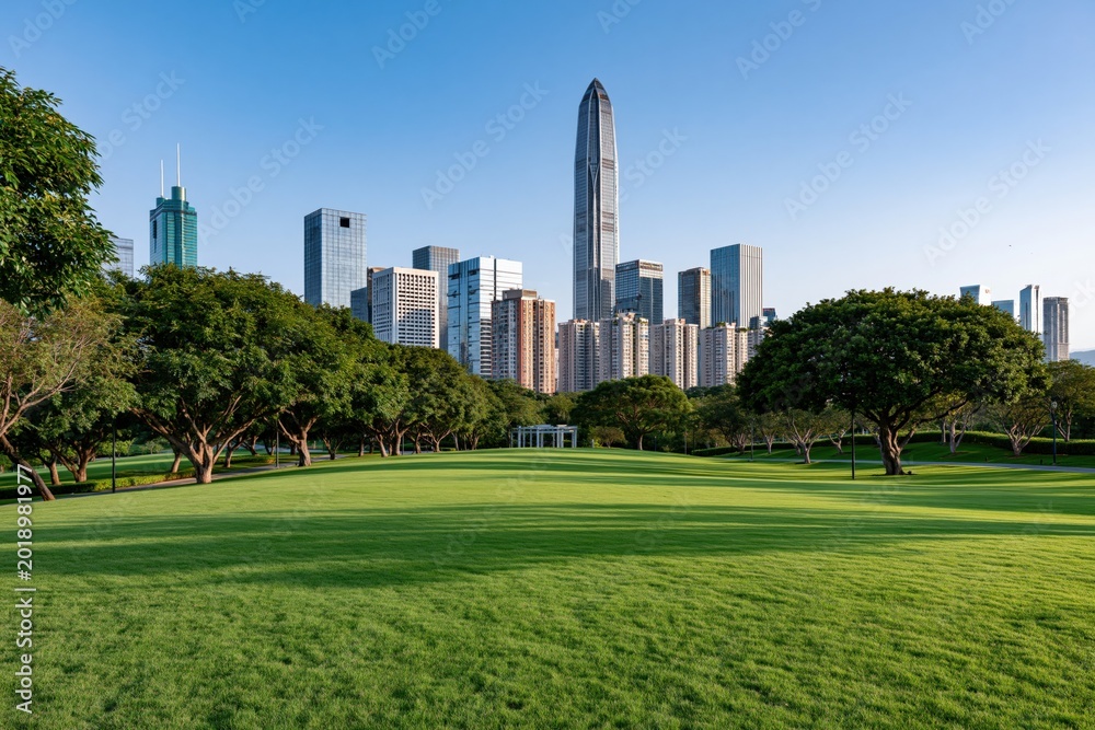 Obraz premium Lush Green City Park Lawn with Modern Skyscrapers and Trees in the Background Under a Clear Blue Sky