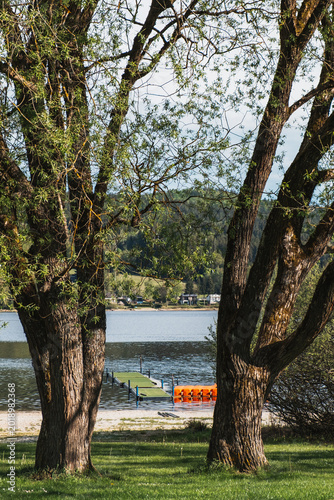 Lakeside dock framed by tall spring trees