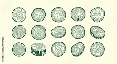 Foto Set of hand-drawn tree ring cross sections and wood slices in vintage rustic line art illustration