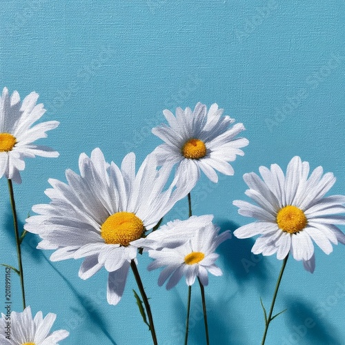 White Daisies Bloom Against a Blue Sky in a Garden Setting During Daylight Hours