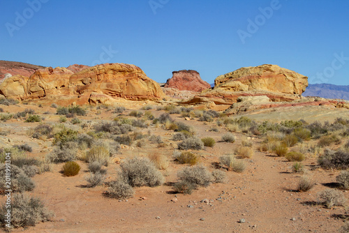 Desert shrubs dot a sandy plain beneath layered sandstone formations in the colorful landscape of Valley of Fire State Park, Nevada.