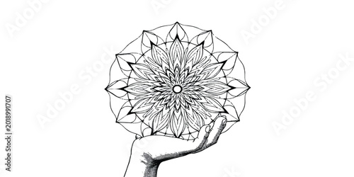 Fotografie A vintage black and white sketch of a daisy blossom features a floral vector des